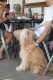 Thumbs/tn_Bild-01 025.jpg